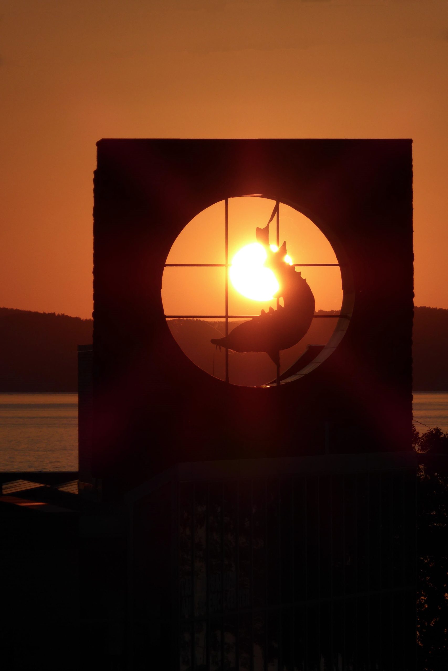 Day 7 BURLINGTON (54)