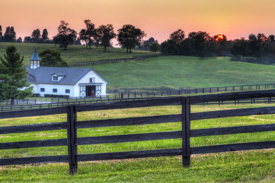 Horse Farm Sunset