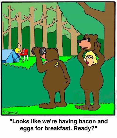 animals-camping-camper-breakfast-cooked_breakfast-bear-awhn81_low.jpg
