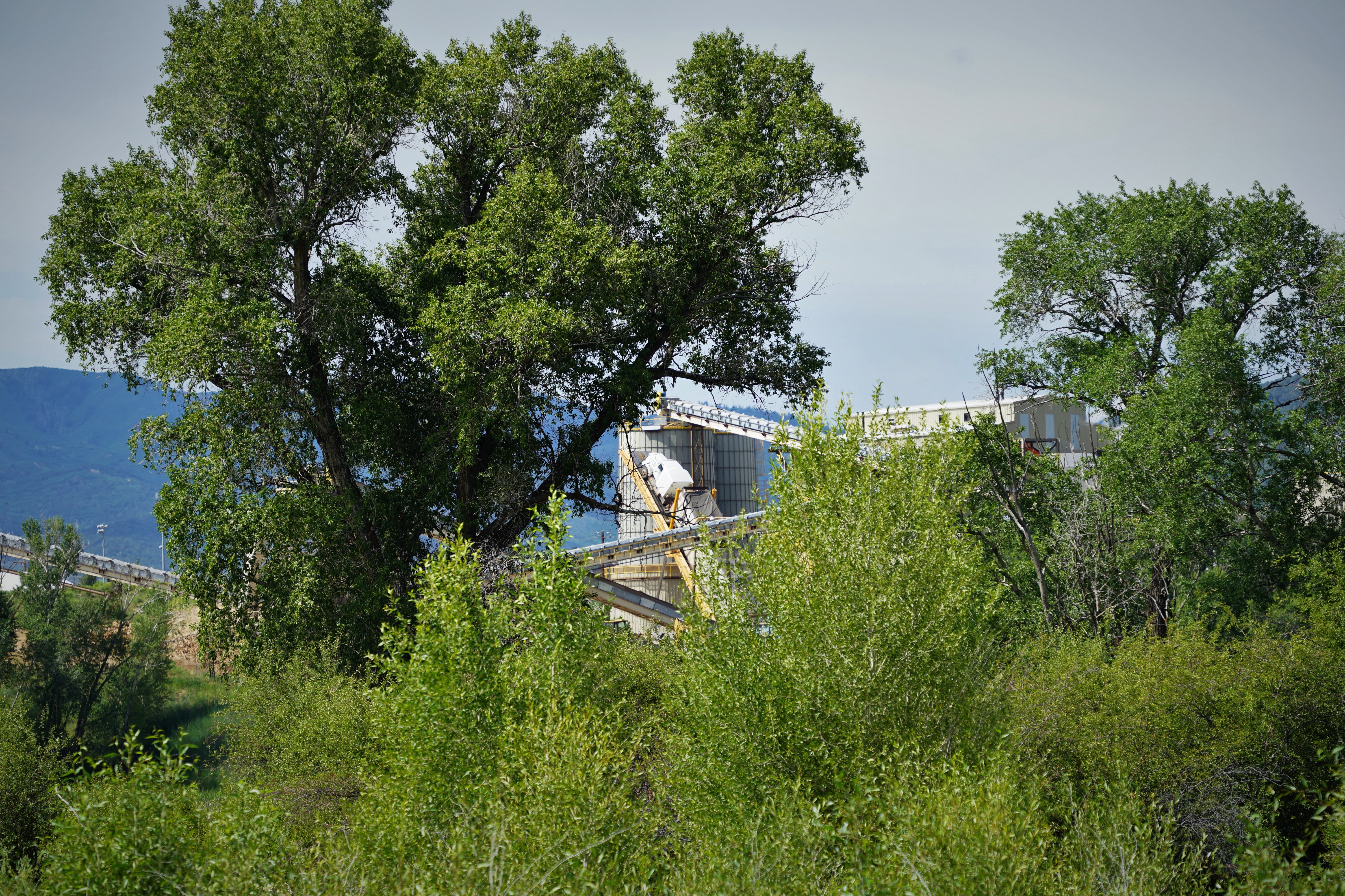 Gypsum mine behinds trees and bushes