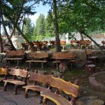 wooden benches in the trees