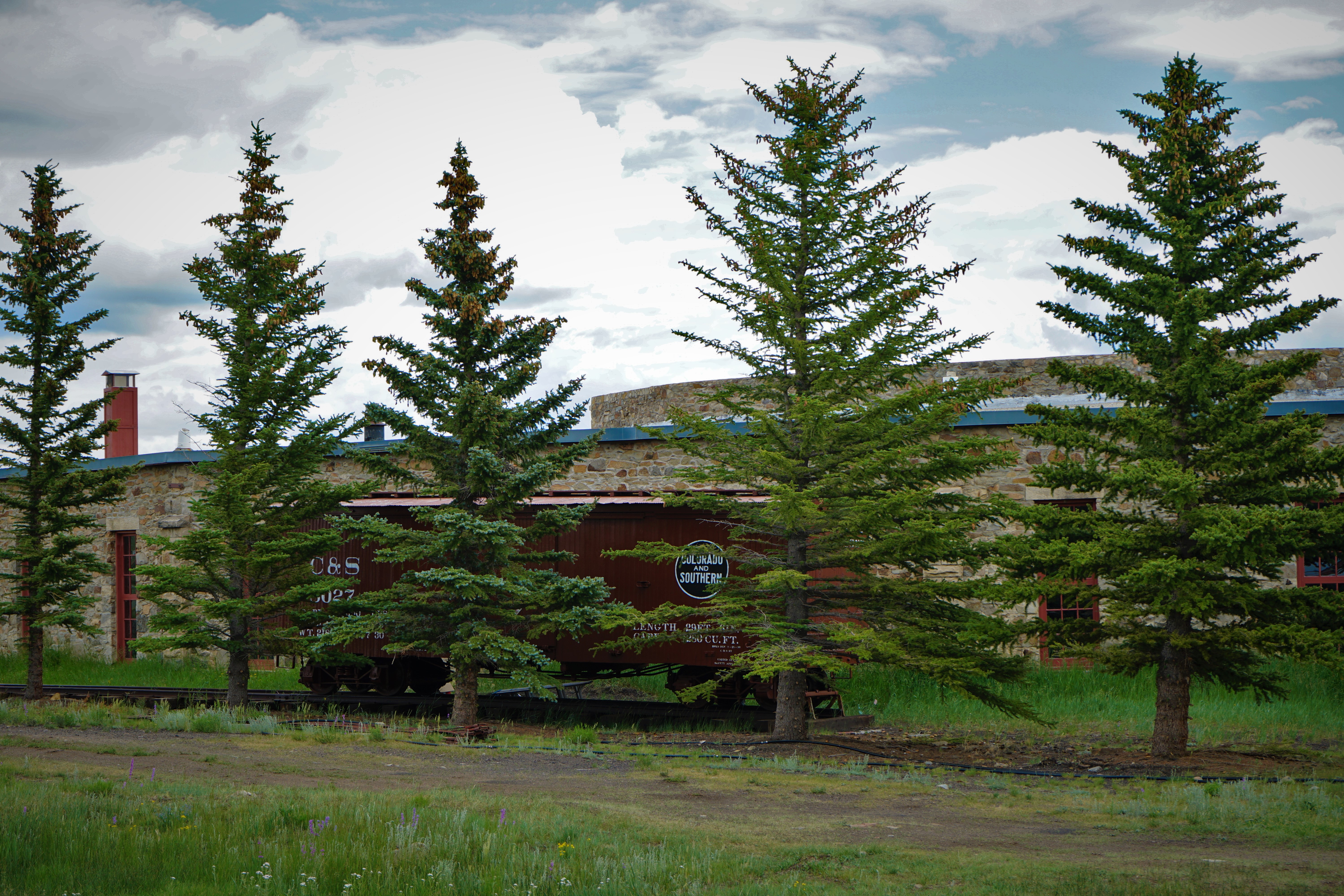 old train car behind pine trees
