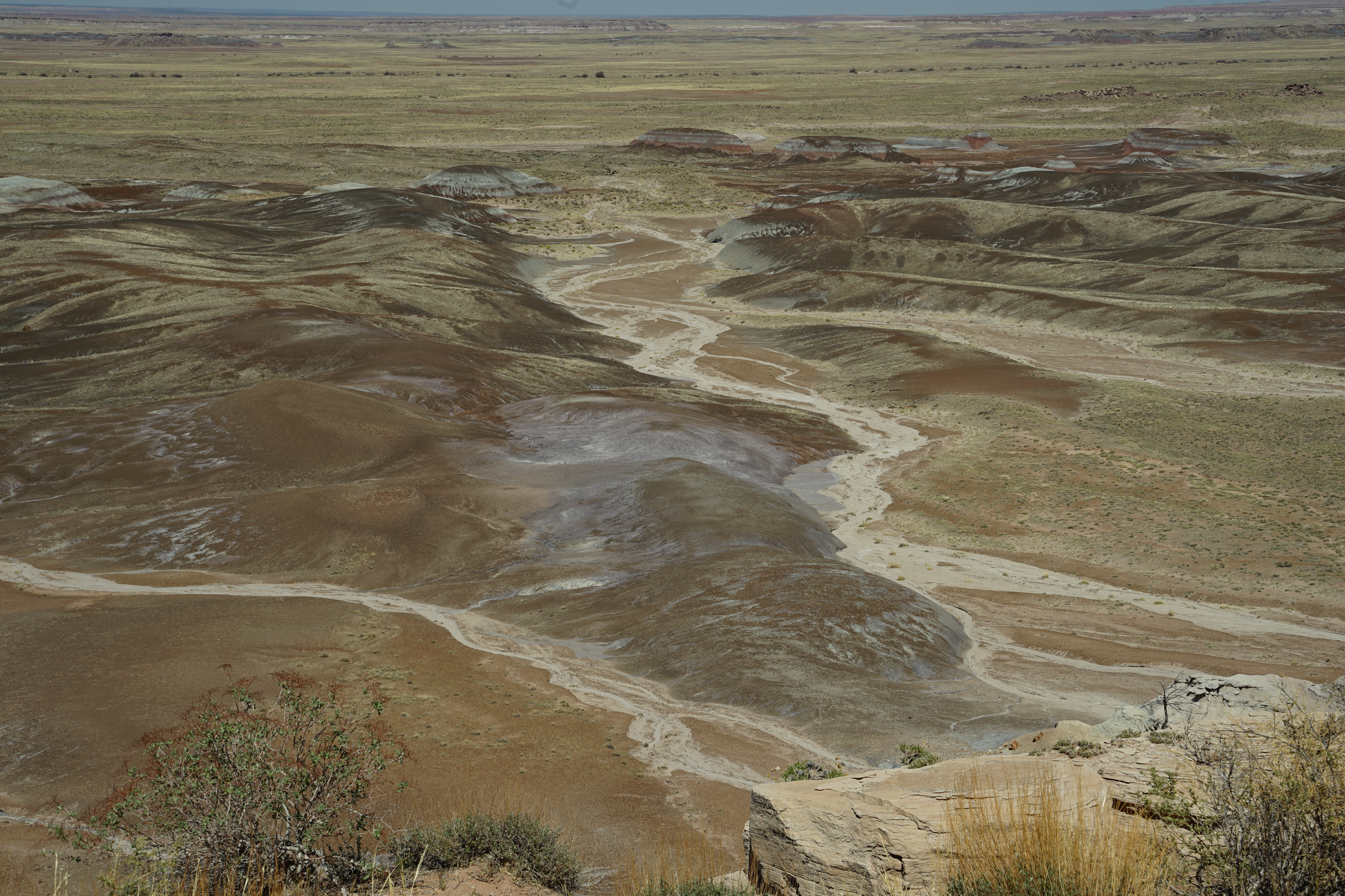 Petrified Forest sand hills