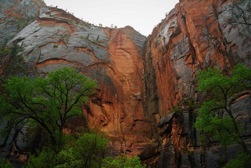 Zion National Park Rock Wall in the Rain