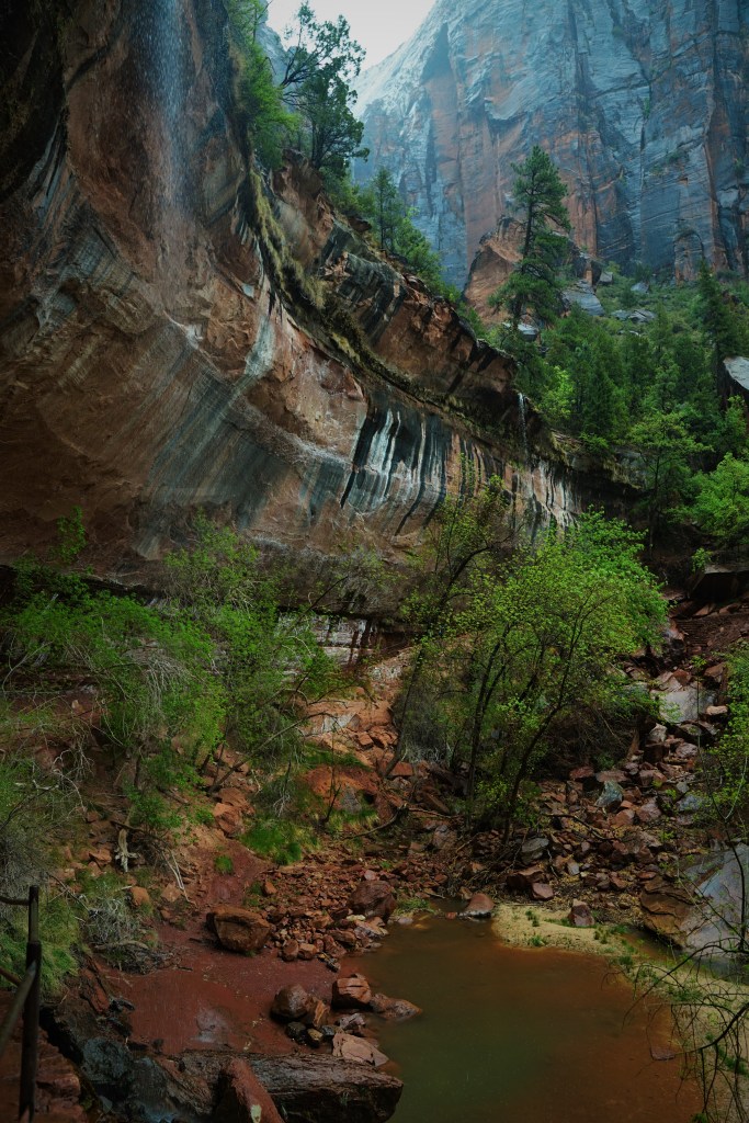 Lower Emerald Pool Zion